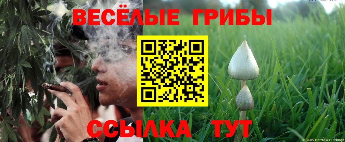 Галлюциногенные грибы MAGIC MUSHROOMS  Вход с VPN  Кизилюрт 